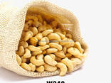 Roasted Cashew Nuts For Sale, Salted And Unsalted Cashew Nuts Food Grade