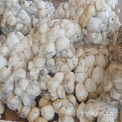 Rubber Natural Cup Lump