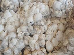 Rubber Natural Cup Lump