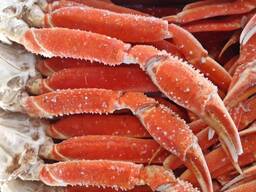 Снежный краб (стригун) Камчатский краб