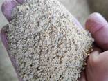 Soybean Meal / Soy Cake NON-GMO (EU Origin), GMP - фото 1