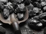 Steam Coal Bituminous Coal TOP Recommend BBQ Charcoal Natural COAL - фото 1