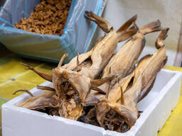 Stockfish Cod, dried best quality-wholesale best, for all market