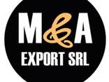 MandA export Alcott, Diesel, HM, CA, Orsay, Idexe, Guess, Rinascimento, Motivi, Oltre - фото 1