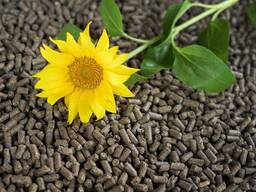Sonnenblumenschalen-Pellets (Sonnenblumen-Brennstoffpellets)