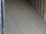 Sunflower Meal High Protein 36% (as is) Non Pelleted, Sunflower Oil Cake, For Animal Feed - photo 2