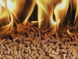 Brennstoffpellets 6,0 mm (Weizenkleie)