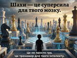 Тренер вчитель репетитор уроки по шахматам шахам онлайн - фото 6