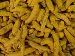 Turmeric from Vietnam - фото 2