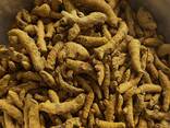 Turmeric from Vietnam - фото 6