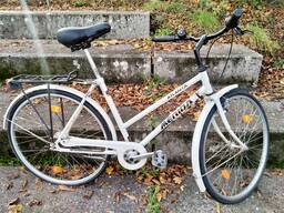 hollandrad marke Wittich Nostalgie Damenrad 28 Zoll, Shimano Nexus 7-Gang – Size:24