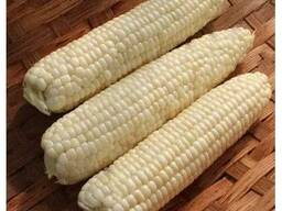 Weißer Mais