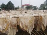 Wet salted cow hid skin/ wet salted cow head skin/dried limed split cow hide skin - фото 3