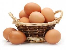 Wholesale Fresh Table Chicken Eggs - Chicken Eggs Cheap Price/ Fertilized Eggs for sale