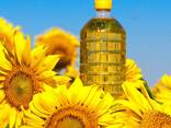 Wholesale sale of sunflower oil - photo 1