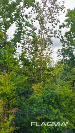 Wohnung oder Haus gesucht – liebevolle Familie sucht neues Zuhause