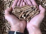 Wood pellets - photo 4