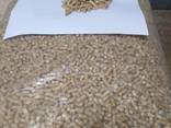 Wood Pellets EN plus A1 - фото 2