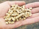 Holzpellets ENplus-A1 - фото 1