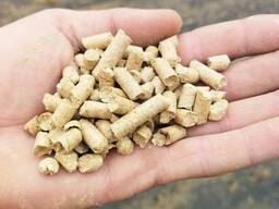 Holzpellets ENplus-A1