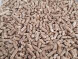 Wood pellets | Holzpellets | Hersteller | 1000 Ton | Ökobrennstoff | EU EXPORT-IMPORT - фото 2