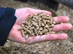 Wood pellet