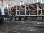 Wood pellets pellet Manufacturer EXPORT - фото 6