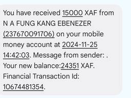 Yorkshires Puppies For Sale