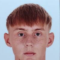 Schesler Roman -